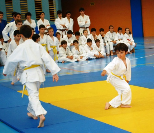 Exhibición Judo